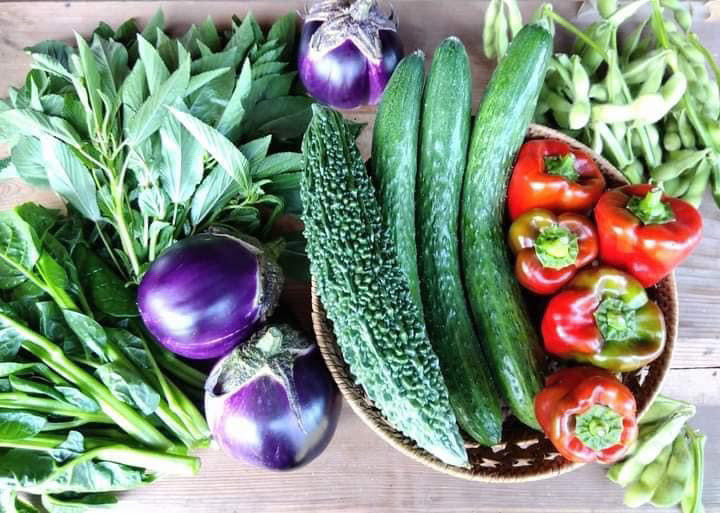 エリー農園野菜直送便